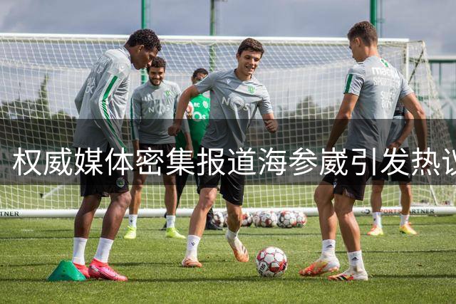 权威媒体密集报道海参崴引发热议