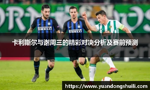 卡利斯尔与谢周三的精彩对决分析及赛前预测